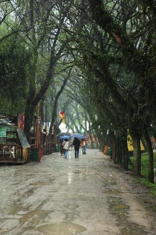 Chuva tomou conta do Parque da Harmonia 