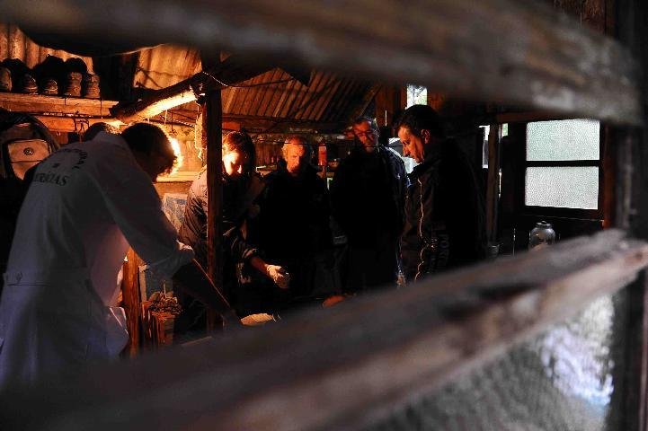 Sobrevivente de trag&eacute;dia familiar em Maquin&eacute; se torna testemunha-chave