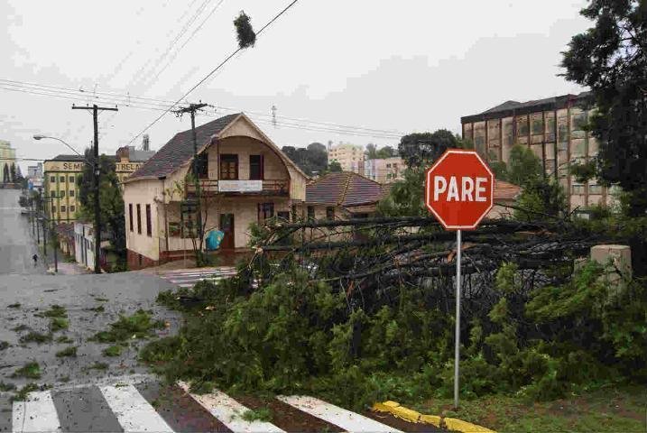 Vento derruba &aacute;rvore no Centro de Erechim