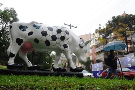 Rebanho de vacas invade Porto Alegre