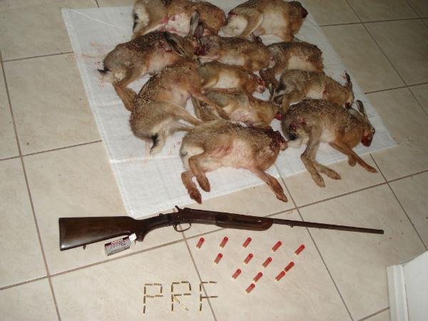 Homem &eacute; preso por ca&ccedil;ar animais silvestres 