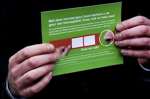 Raspadinhas perfumadas com maconha s&atilde;o distribu&iacute;das na Holanda