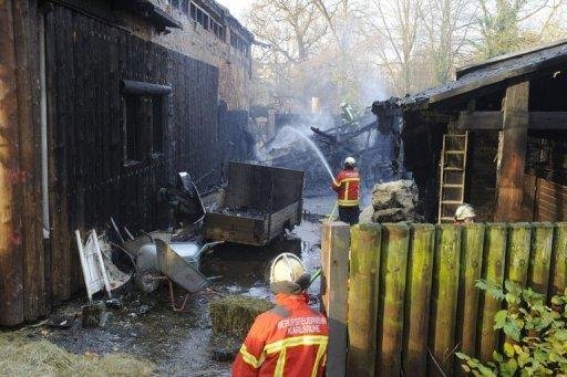Inc&ecirc;ndio em zool&oacute;gico da Alemanha mata 26 animais
