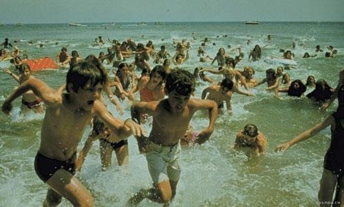 Filme Tubar&atilde;o integra a sele&ccedil;&atilde;o de t&iacute;tulos que est&atilde;o em mostra na Usina