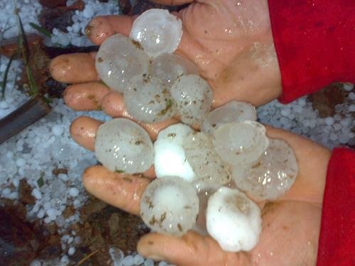 Mais de 100 propriedades s&atilde;o danificadas pelo granizo em Fontoura Xavier
