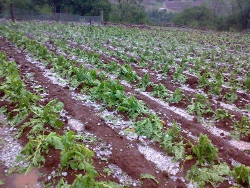Mais de 50 fam&iacute;lias est&atilde;o desalojadas em Fontoura Xavier por causa de chuva
