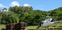 Helicópter do Ibama auxiliou na apreensão de 106m³ de madeira da Mata Atlântica