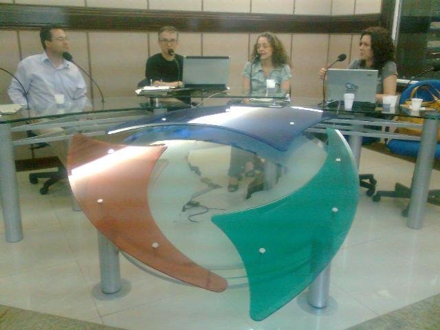 Luciana Genro considera injusta lei que impede sua candidatura  