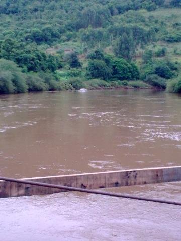 Carreta cai de balsa ao atravessar rio no Norte do Estado