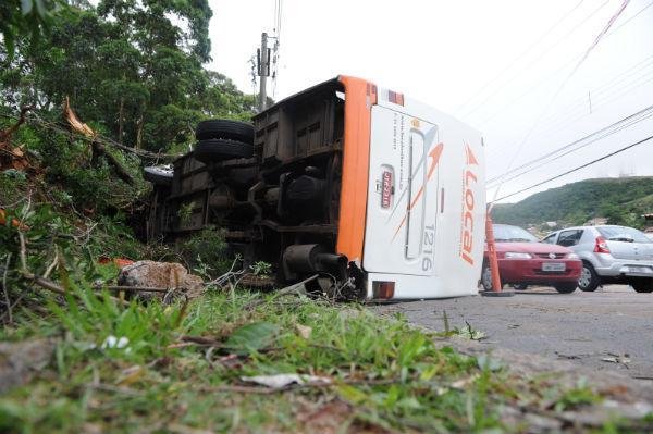 &Ocirc;nibus bate em &aacute;rvore e tomba na zona Sul da Capital