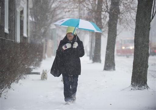 Espera-se que a tempestade gere entre 22,8 e 38,1 cent&iacute;metros de neve em Nova Iorque