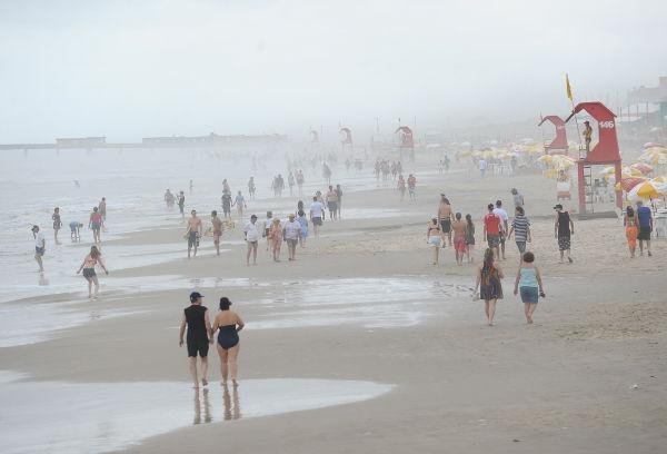 Opera&ccedil;&atilde;o Golfinho j&aacute; efetuou mais de 100 salvamentos