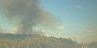 Incêndio queima bosques de vinícola em Bagé