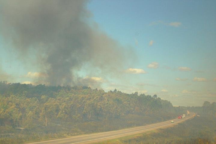 Inc&ecirc;ndio queima bosques de vin&iacute;cola em Bag&eacute;