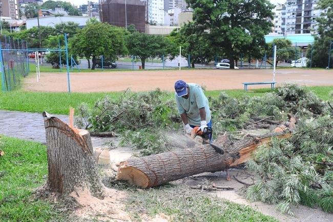 T&eacute;cnicos constaram que havia risco de queda e realizaram o trabalho hoje