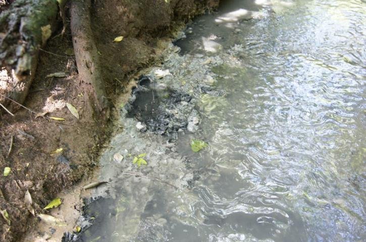 Dois curtumes foram fechados em Ivoti por crime ambiental
