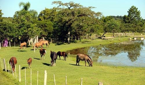 Segunda maior capital do pa&iacute;s em &aacute;rea rural, Porto Alegre oferece 117 op&ccedil;&otilde;es de rotas tur&iacute;sticas para os interessados em conhecer as lidas campeiras