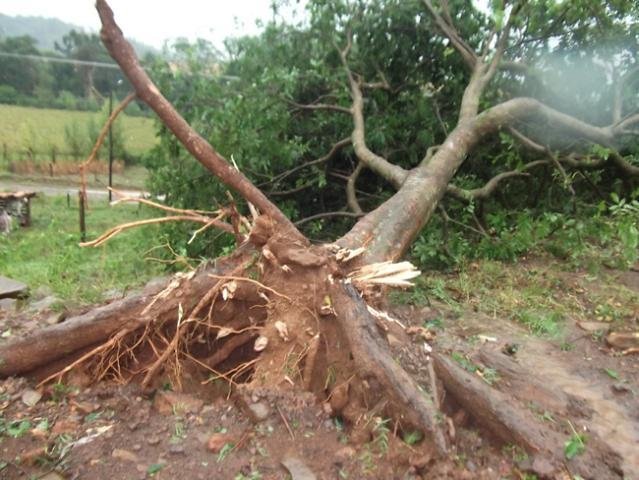 Quase 7 mil s&atilde;o afetados pelos temporais no Estado