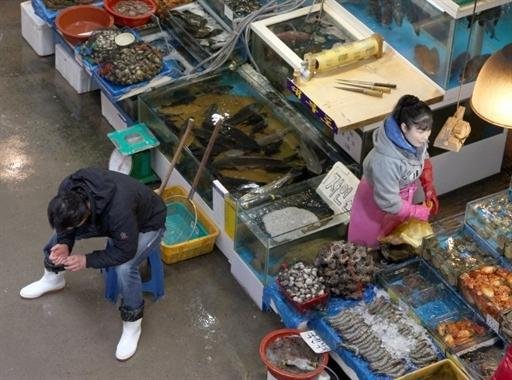 Anvisa fixa crit&eacute;rios para importa&ccedil;&atilde;o de mat&eacute;rias-primas e alimentos do Jap&atilde;o