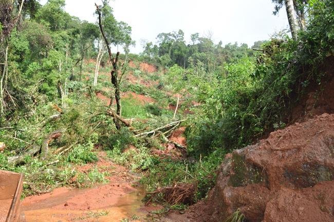 Cerca de 1 hectare de terra e mata desliza em Aratiba e bloqueia o tr&acirc;nsito