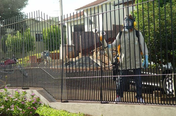 Santa Rosa confirma mais dois casos de dengue 