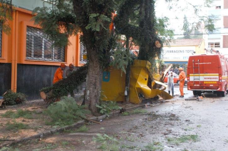 V&iacute;timas de queda de &aacute;rvore na Capital s&atilde;o liberados do HPS
