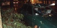 Temporal derruba árvore sobre veículo e deixa um ferido em Santa Rosa