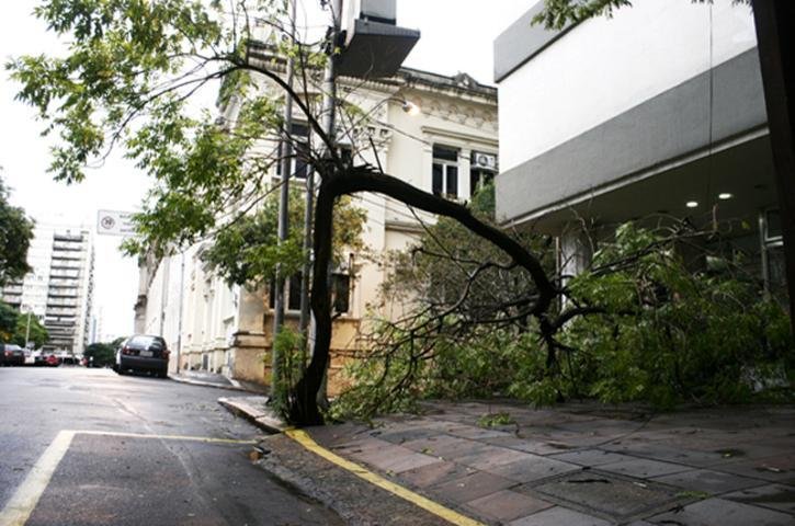 Cerca de 73,5 mil pontos continuam sem luz no RS. Quedas de &aacute;rvores causaram maior parte dos danos &agrave; rede