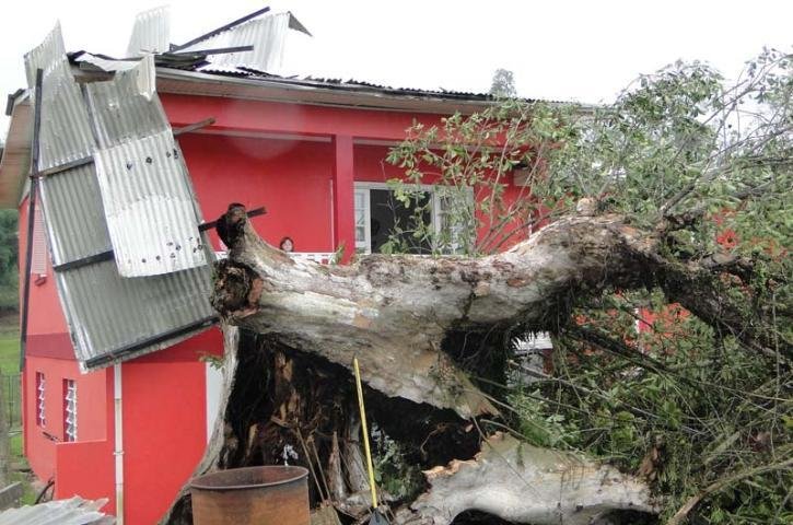 &Aacute;rvores ca&iacute;ram e casas ficaram destelhadas em Sapiranga