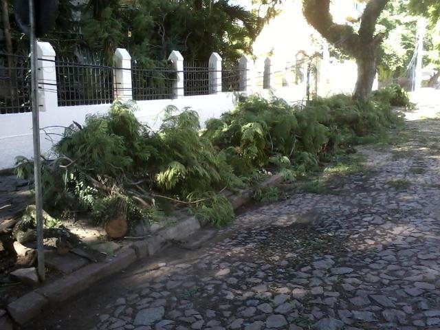 Galhos de &aacute;rvores ficaram espalhados pelas cal&ccedil;adas