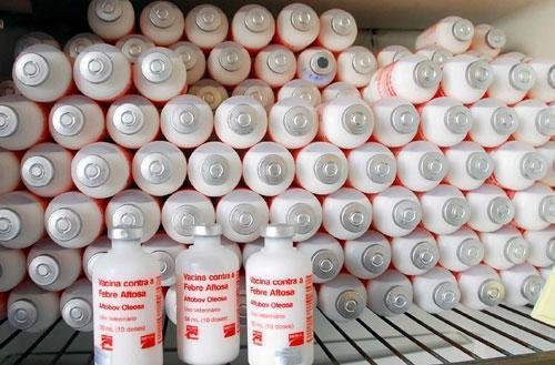 Preg&atilde;o eletr&ocirc;nico para compra de 4,069 milh&otilde;es de doses ocorreu ontem 