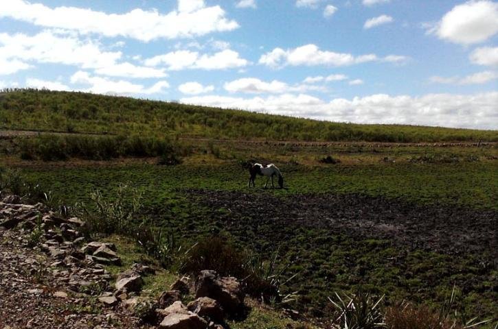 Al&eacute;m da perda das lavouras, h&aacute; gastos ambientais e com atendimento de sa&uacute;de