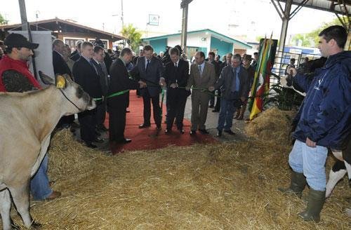 Fenasul come&ccedil;a com proje&ccedil;&atilde;o otimista para o leite ga&uacute;cho