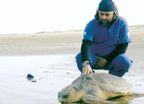 Centro de reabilita&ccedil;&atilde;o devolve animais tratados ao mar no Cassino