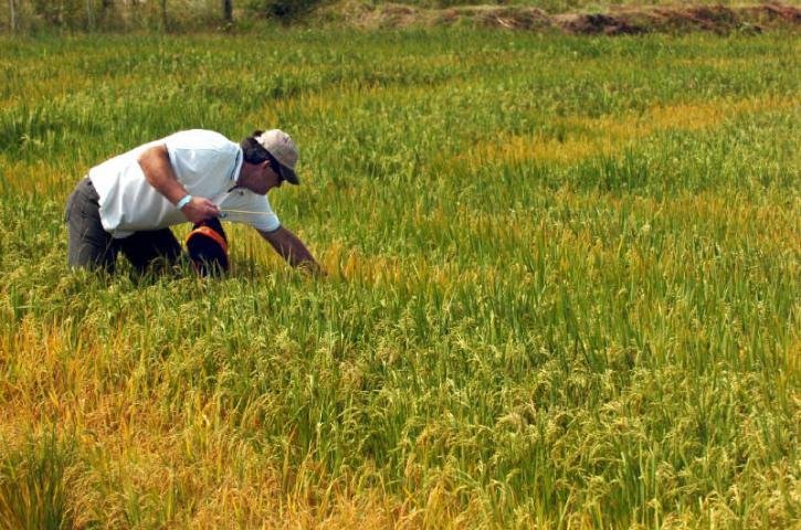 Corte de verba gera alerta no Irga 
