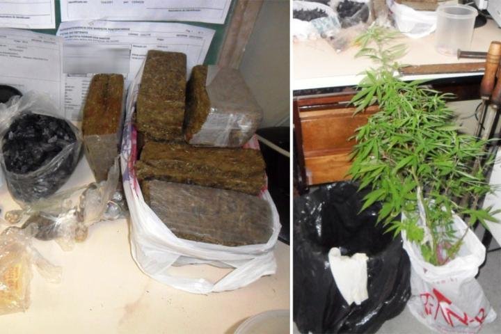 Presidi&aacute;rios cultivavam dois p&eacute;s de maconha em Os&oacute;rio