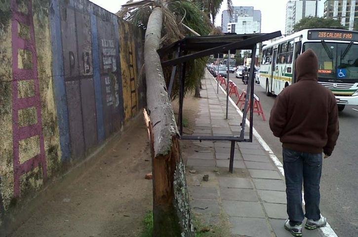 Leitor registrou a &aacute;rvore que caiu sobre uma parada de &ocirc;nibus na avenida Mau&aacute;, em Porto Alegre