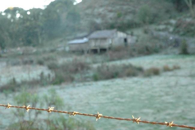 Em Gramado, mas marcas tamb&eacute;m foram baixas nesta manh&atilde;, com registro de geada