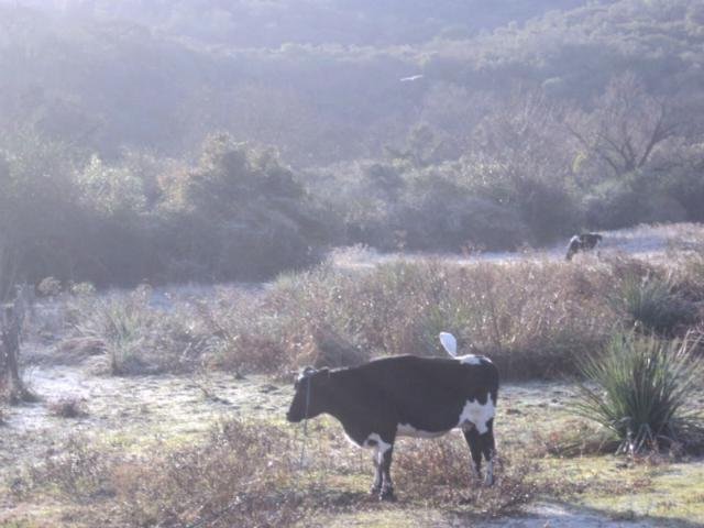 Livramento registra m&iacute;nima de -0,5&ordm;C