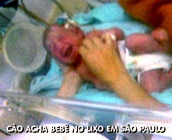 C&atilde;o encontra beb&ecirc; dentro de sacola em S&atilde;o Paulo