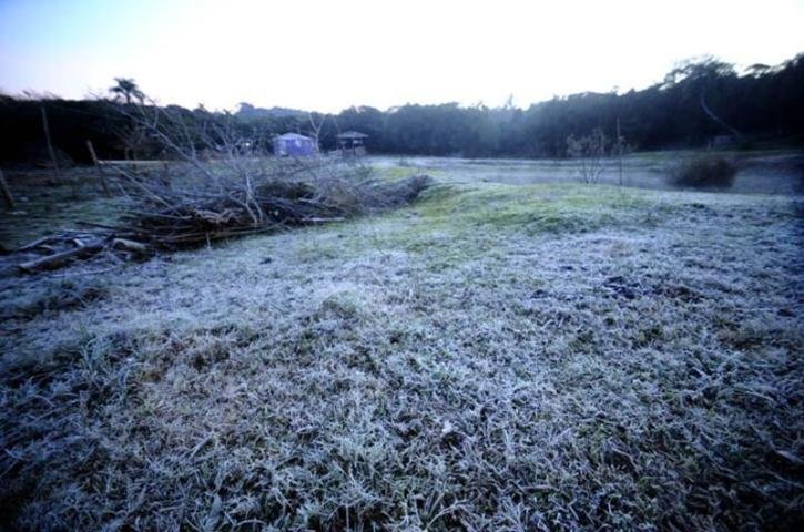 Ar polar come&ccedil;a a perder for&ccedil;a ap&oacute;s semana de frio recorde