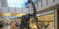 Mostra de dinossauros da Patagônia no Barra Shopping Sul