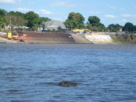 Jacar&eacute; de mais de dois metros aparece em praia de Goi&aacute;s 