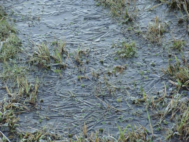 Cidade catarinense tem sensa&ccedil;&atilde;o t&eacute;rmica de -27&ordm;C