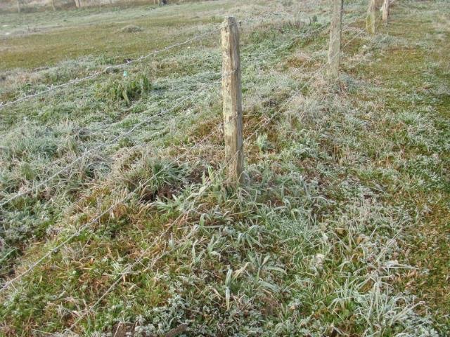 A cidade catarinense de Urubici registrou m&iacute;nima de -7&ordm;C