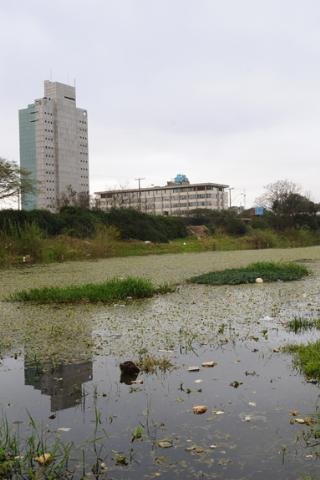 Arroio do Dil&uacute;vio fica coberto de plantas, na Capital