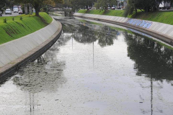 Plantas aqu&aacute;ticas formam tapete verde no Dil&uacute;vio 