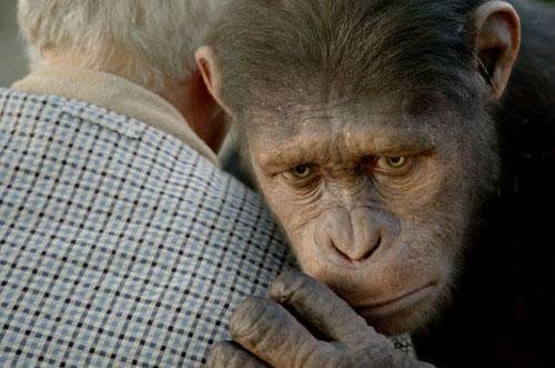 Novo &acute;Planeta dos Macacos` estreia na pr&oacute;xima sexta-feira 
