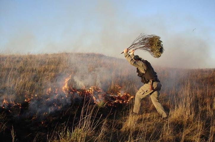 Pol&iacute;cia ambiental localiza mais de 100 hectares queimados em dois dias
