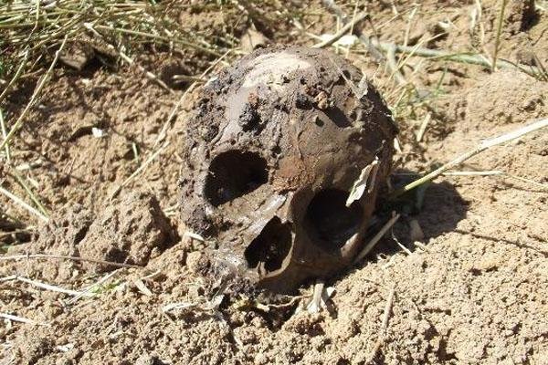 Cr&acirc;nio &eacute; encontrado em vala de Sapiranga